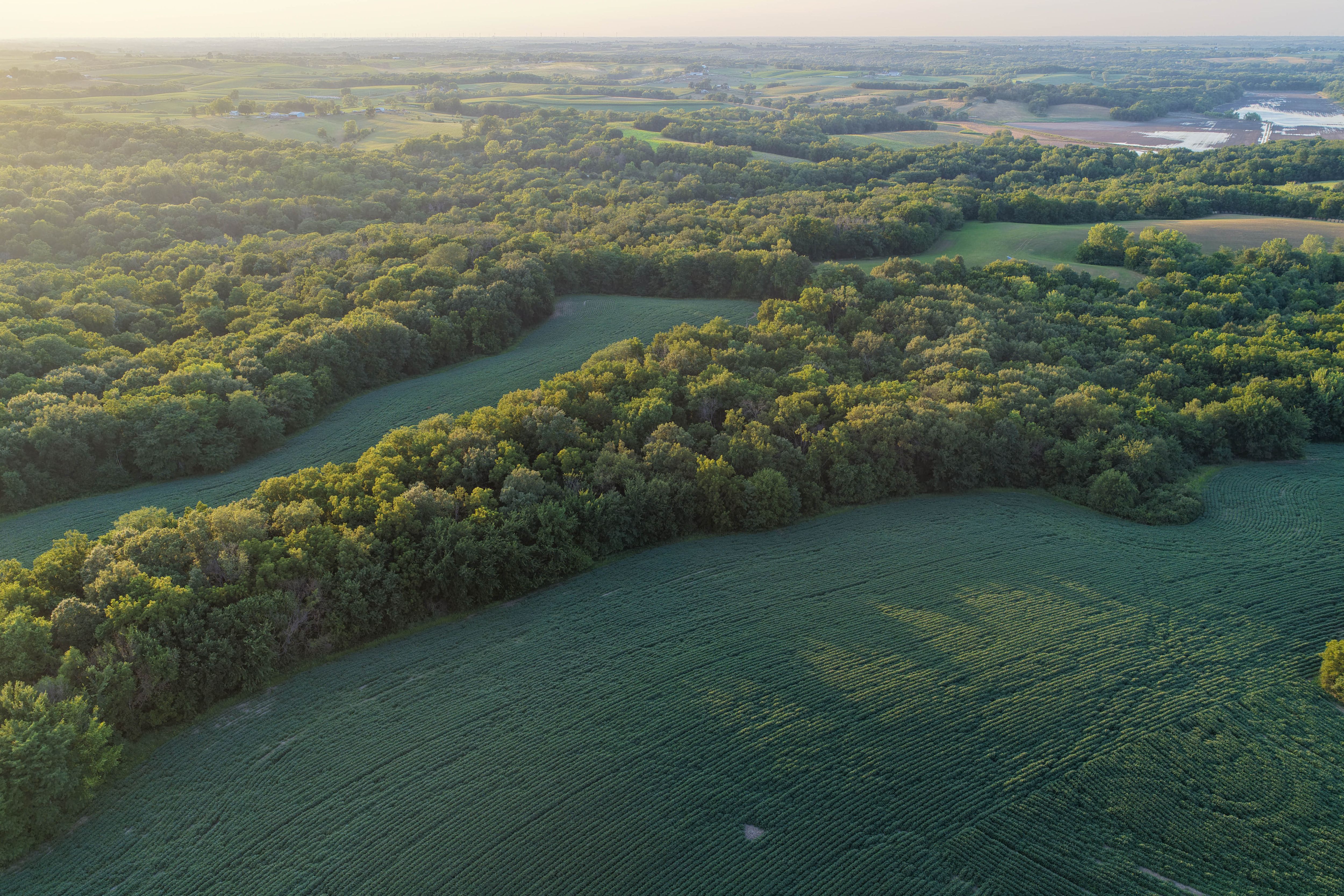 Listing Photo: Whitetail Hunting Farm Mahaska County Iowa-91